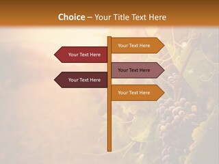 Outdoor Fall Rural PowerPoint Template