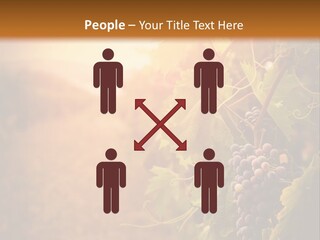 Outdoor Fall Rural PowerPoint Template