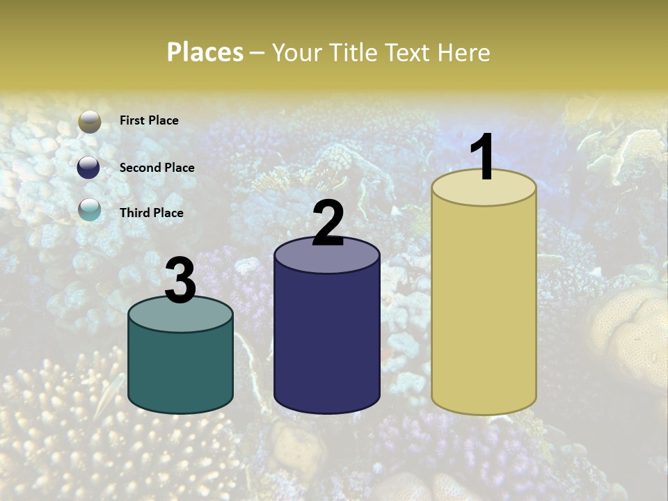 Live Ocean Under PowerPoint Template