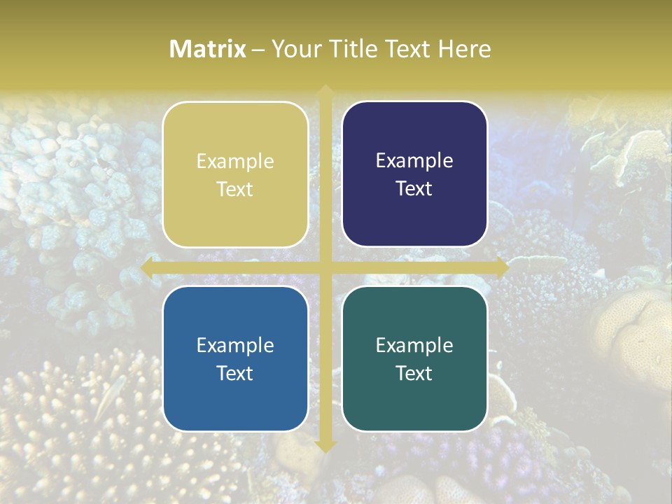 Live Ocean Under PowerPoint Template