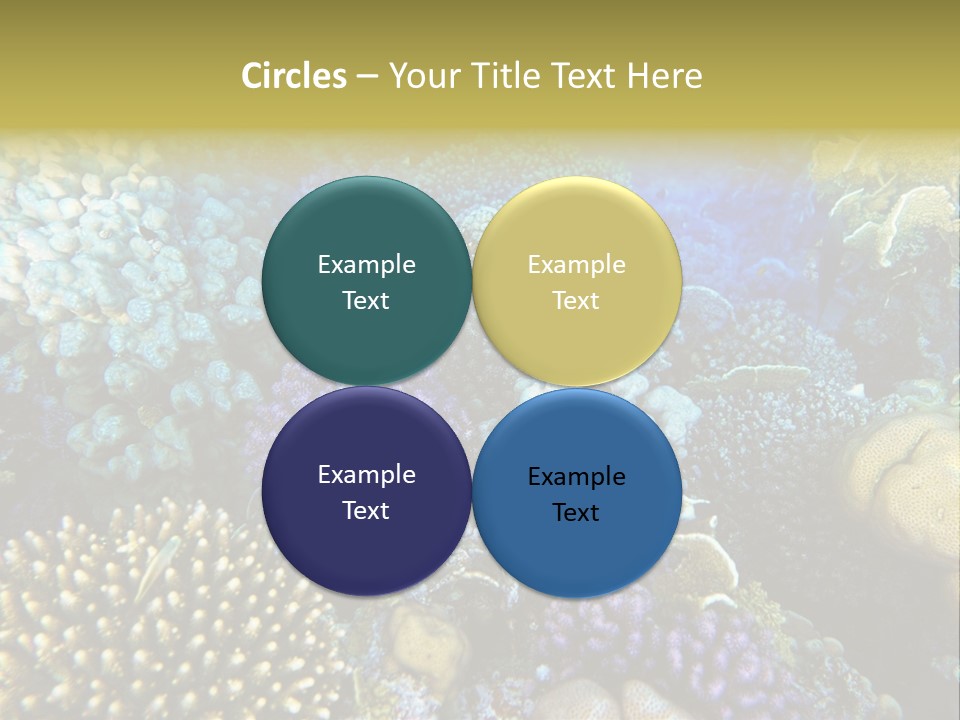 Live Ocean Under PowerPoint Template