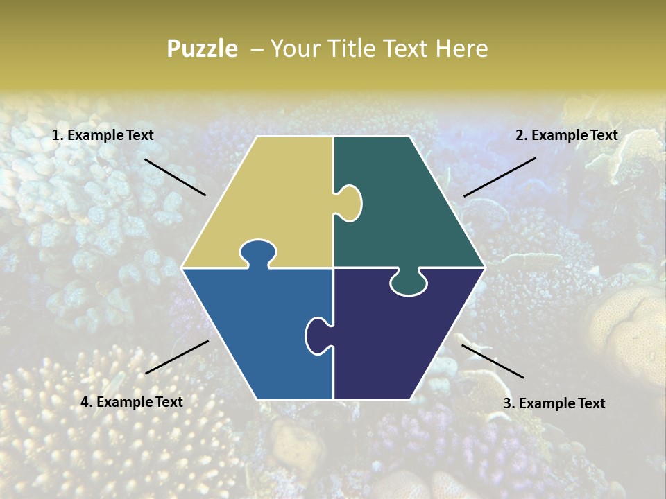 Live Ocean Under PowerPoint Template