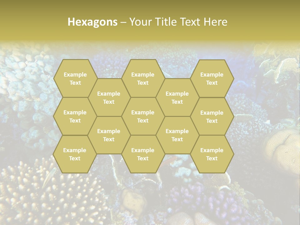 Live Ocean Under PowerPoint Template