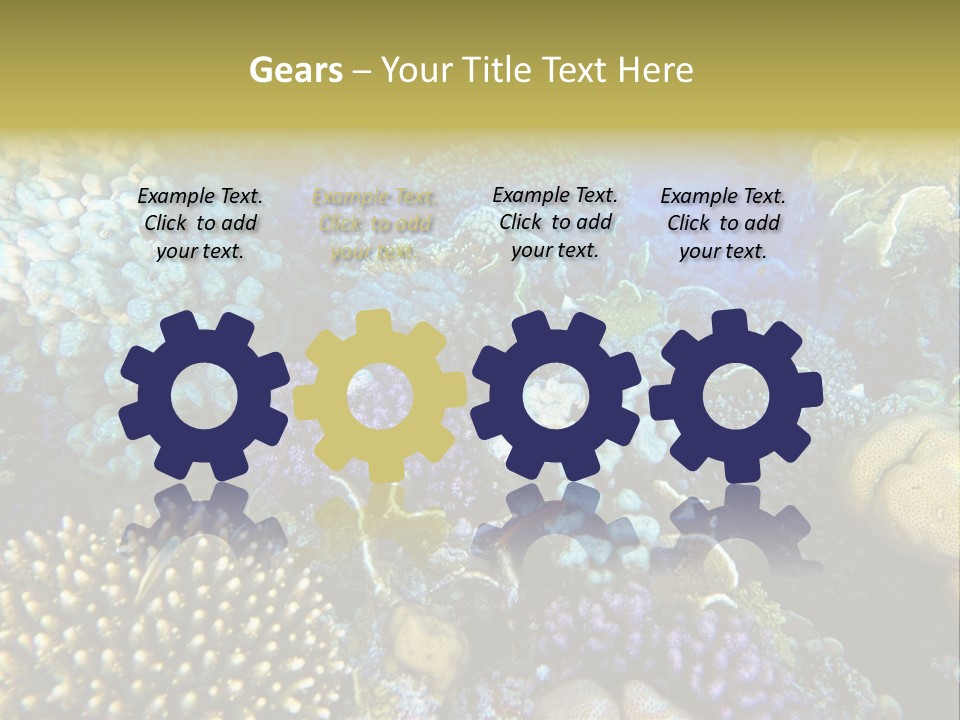 Live Ocean Under PowerPoint Template