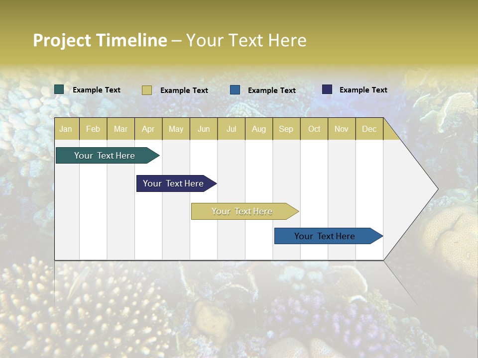 Live Ocean Under PowerPoint Template