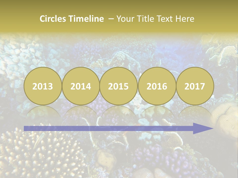 Live Ocean Under PowerPoint Template