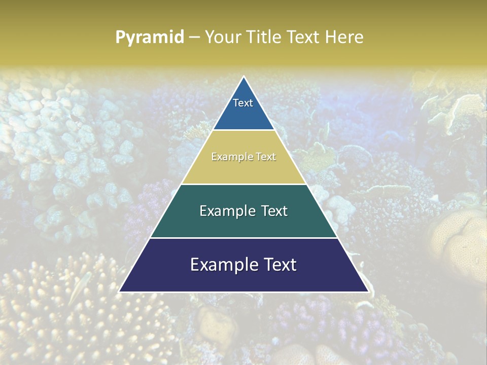 Live Ocean Under PowerPoint Template