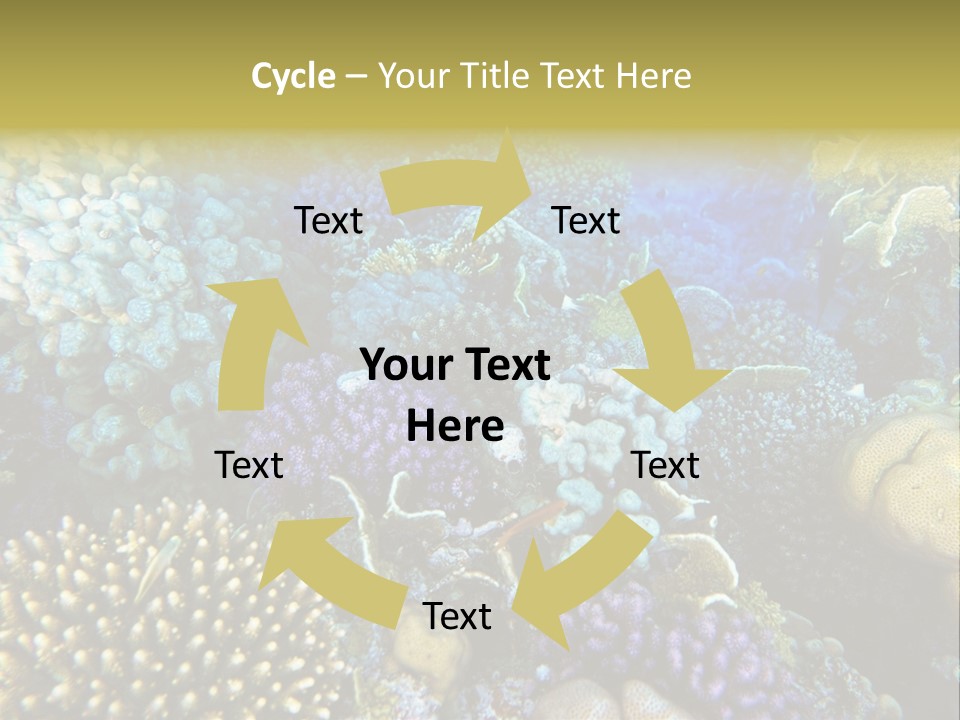 Live Ocean Under PowerPoint Template