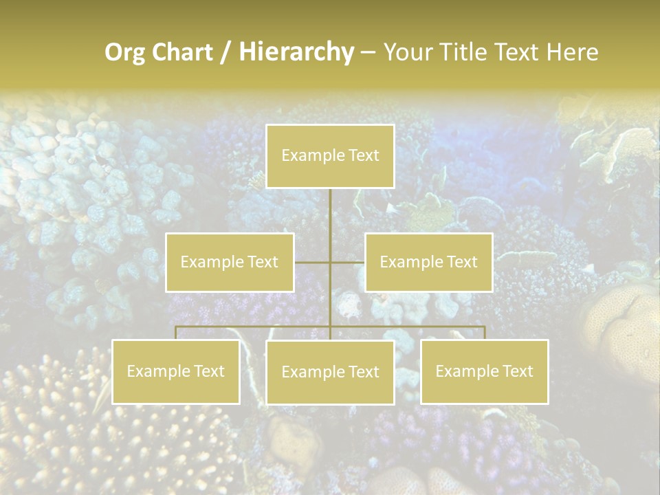 Live Ocean Under PowerPoint Template