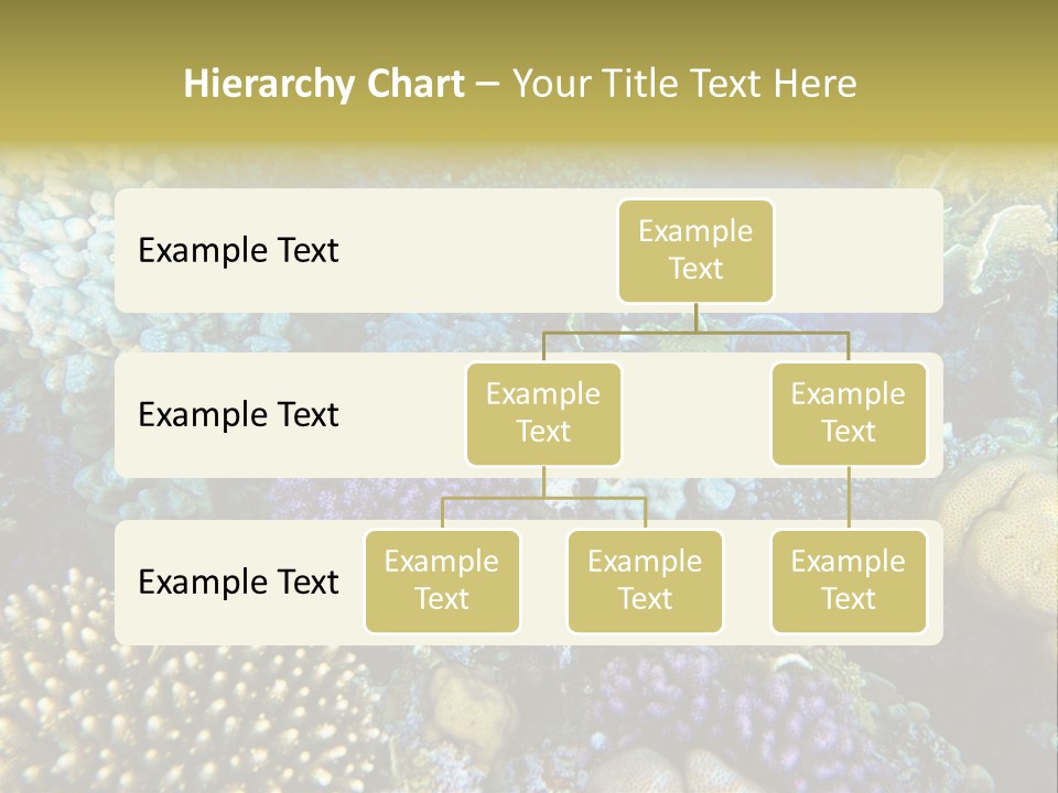 Live Ocean Under PowerPoint Template