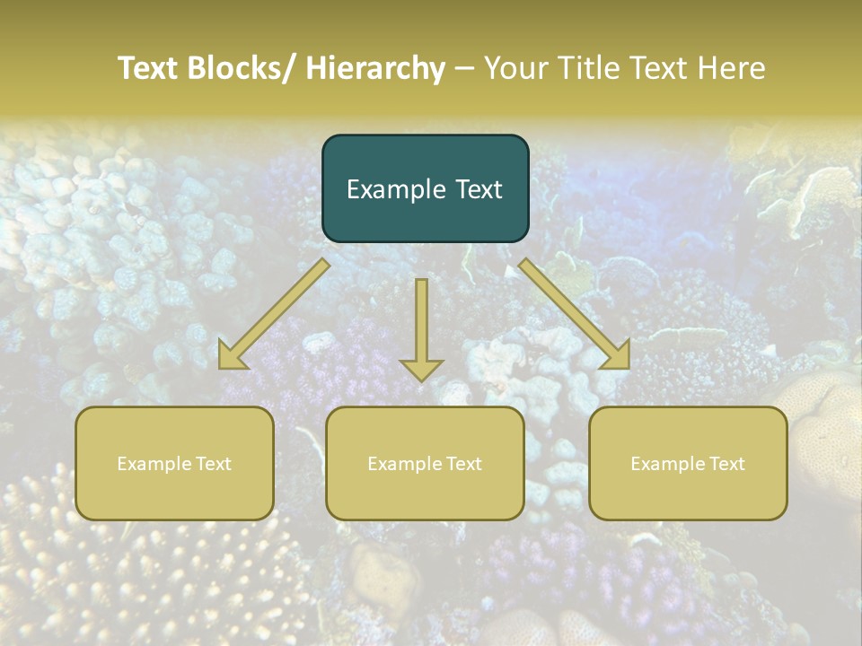 Live Ocean Under PowerPoint Template