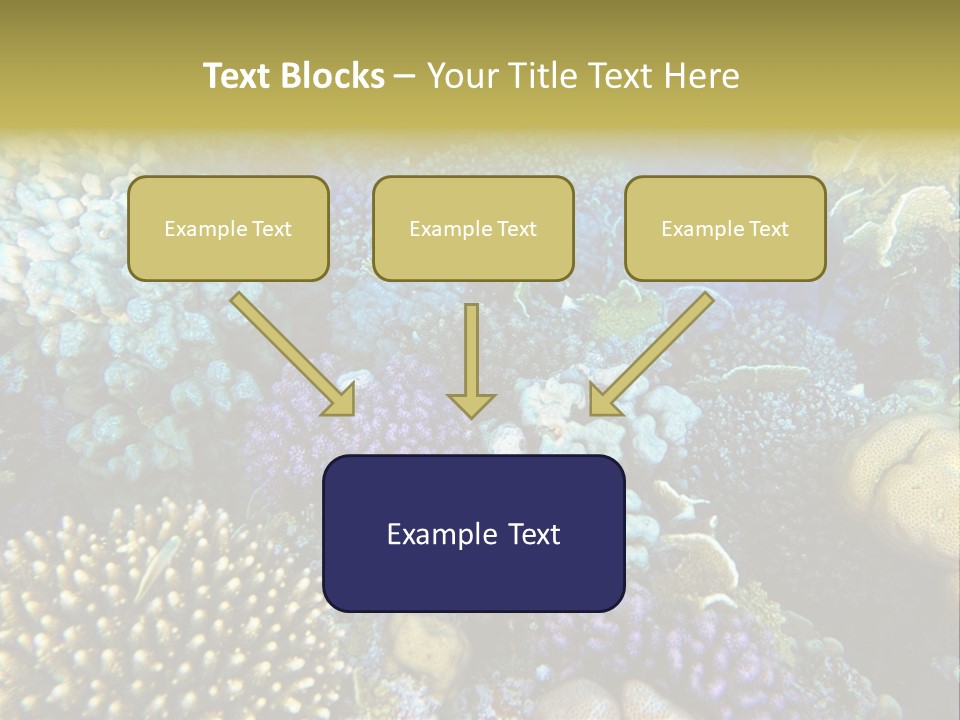 Live Ocean Under PowerPoint Template