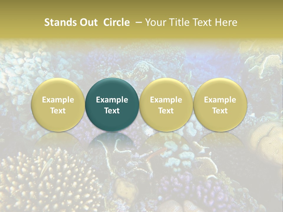 Live Ocean Under PowerPoint Template