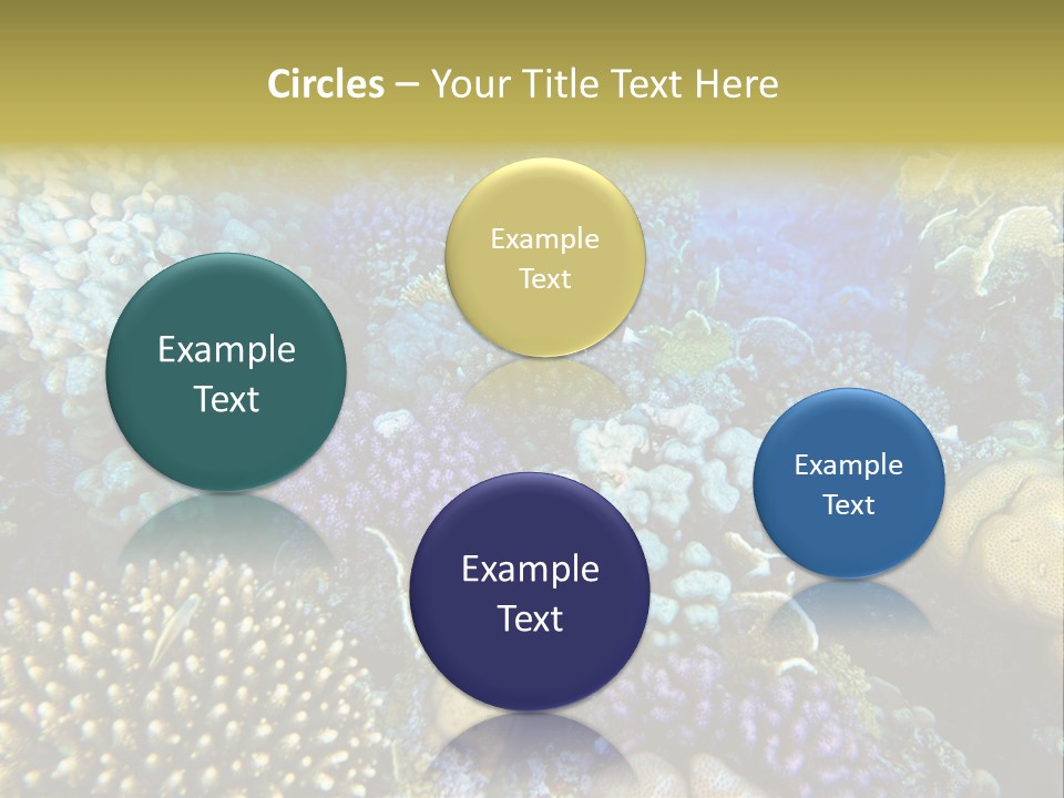 Live Ocean Under PowerPoint Template