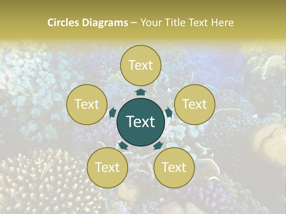 Live Ocean Under PowerPoint Template