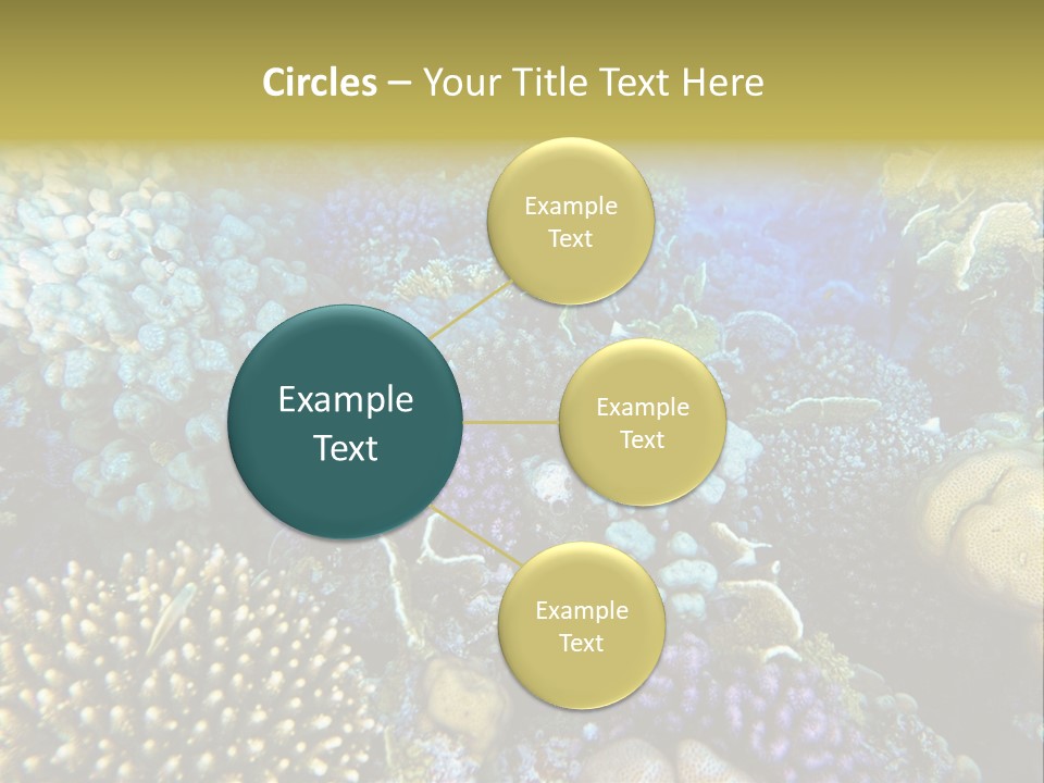 Live Ocean Under PowerPoint Template