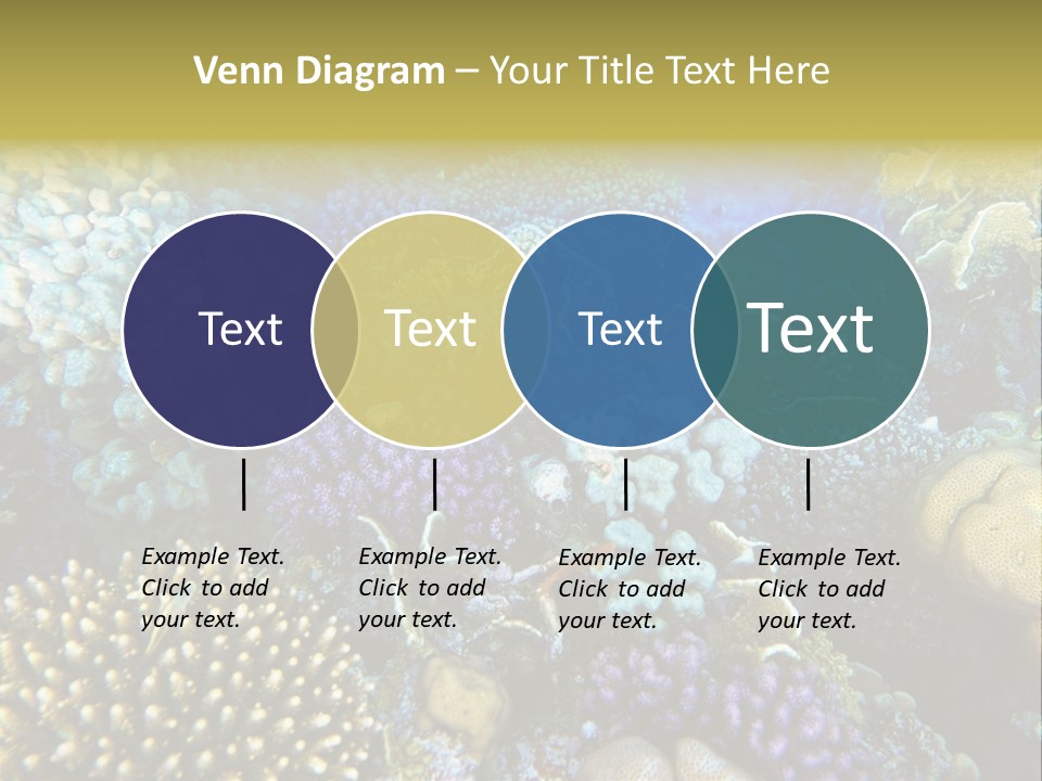 Live Ocean Under PowerPoint Template