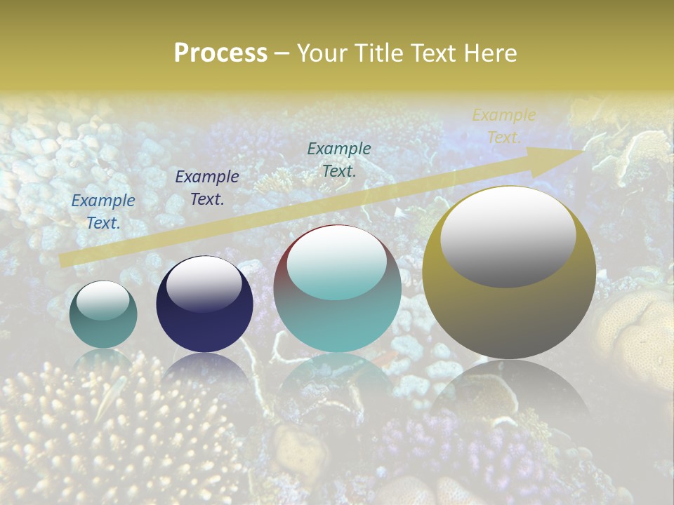 Live Ocean Under PowerPoint Template