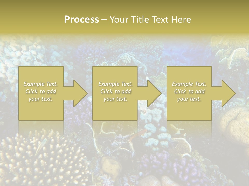 Live Ocean Under PowerPoint Template