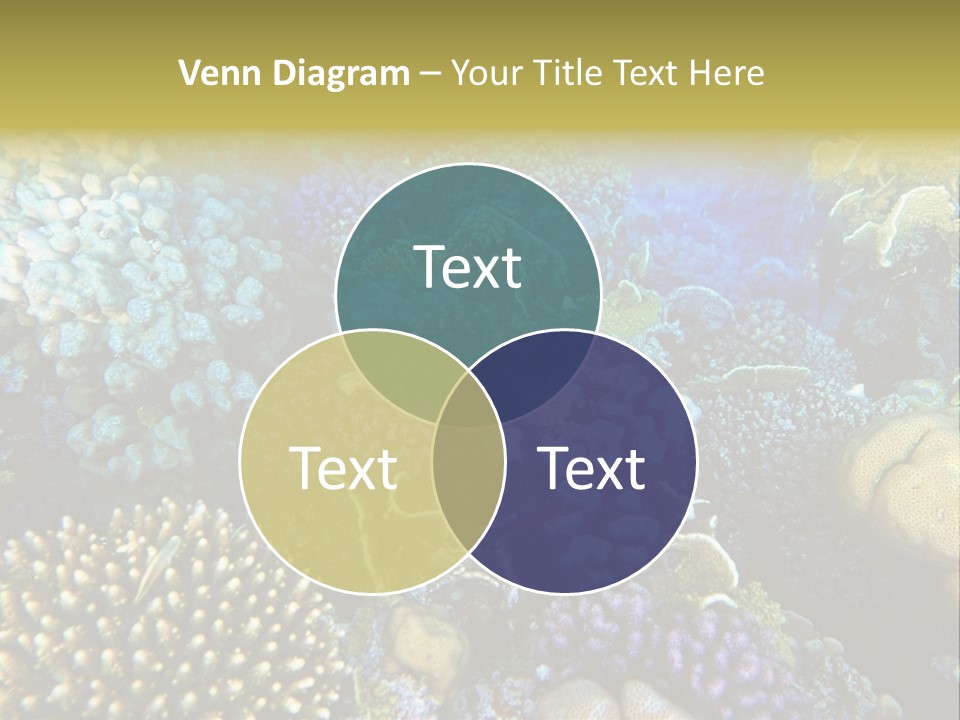 Live Ocean Under PowerPoint Template