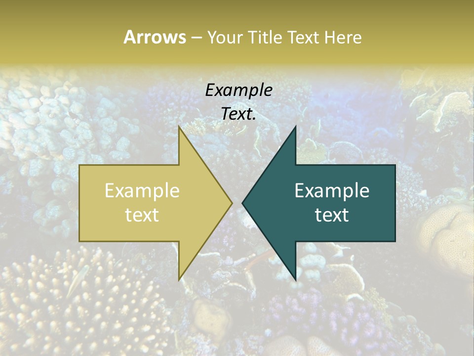 Live Ocean Under PowerPoint Template