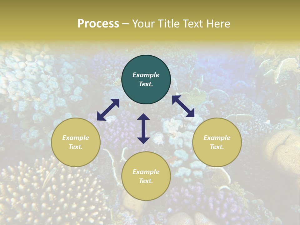 Live Ocean Under PowerPoint Template