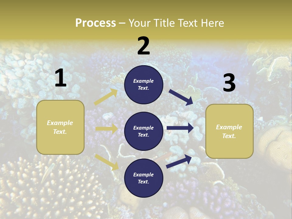 Live Ocean Under PowerPoint Template