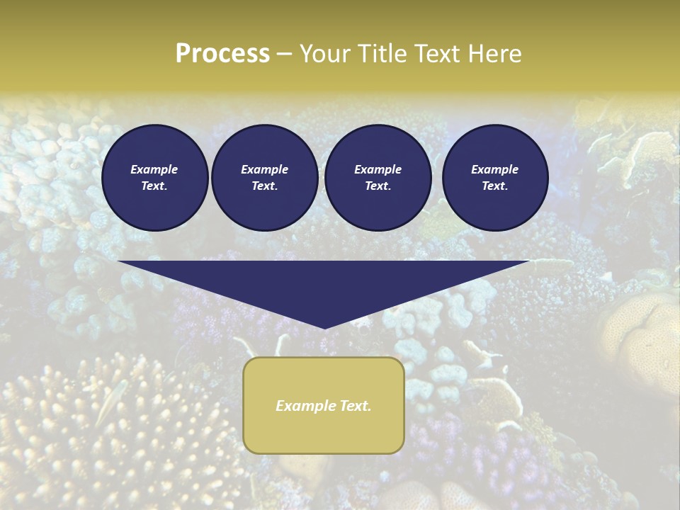 Live Ocean Under PowerPoint Template