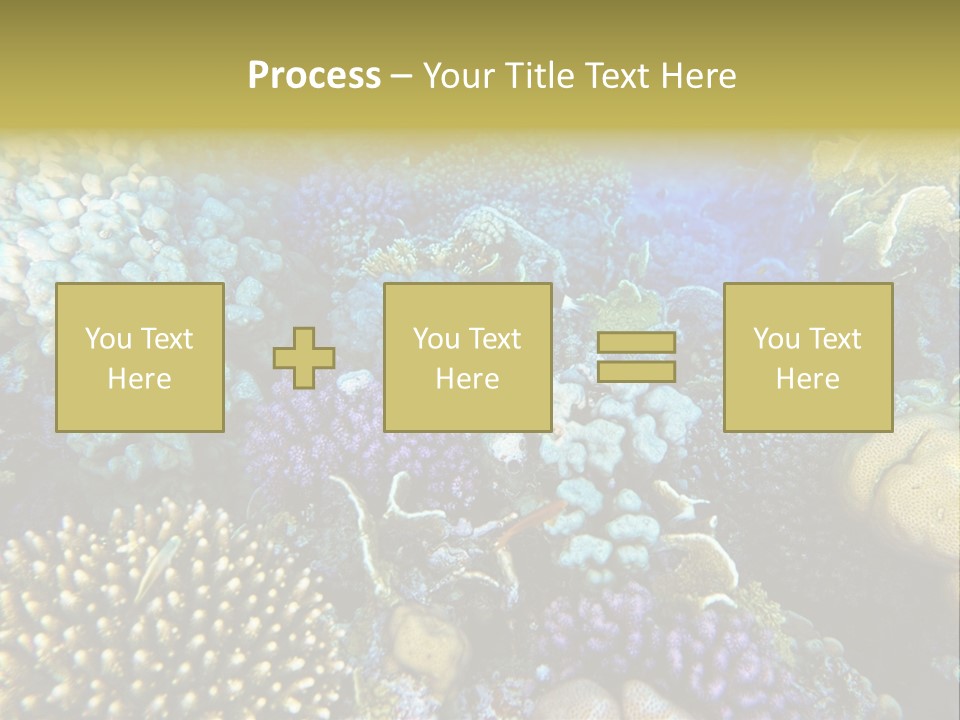 Live Ocean Under PowerPoint Template