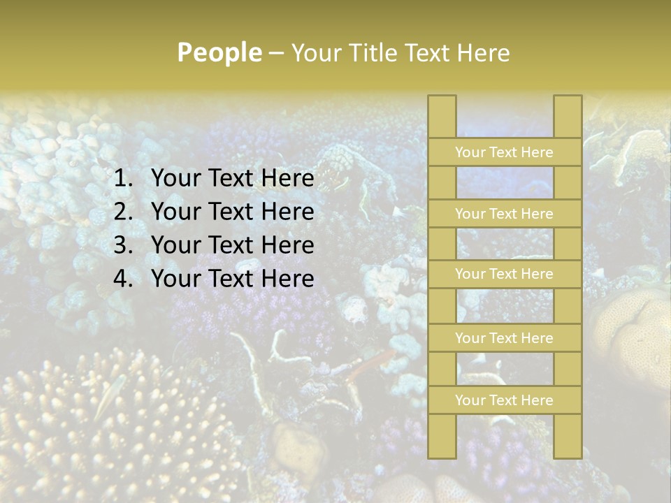 Live Ocean Under PowerPoint Template