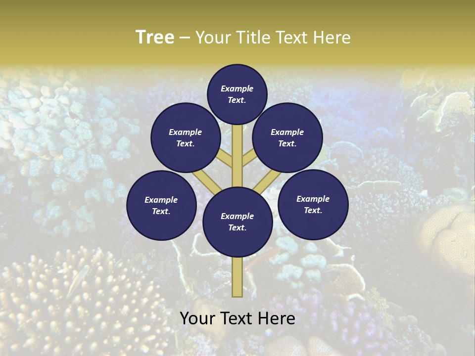 Live Ocean Under PowerPoint Template