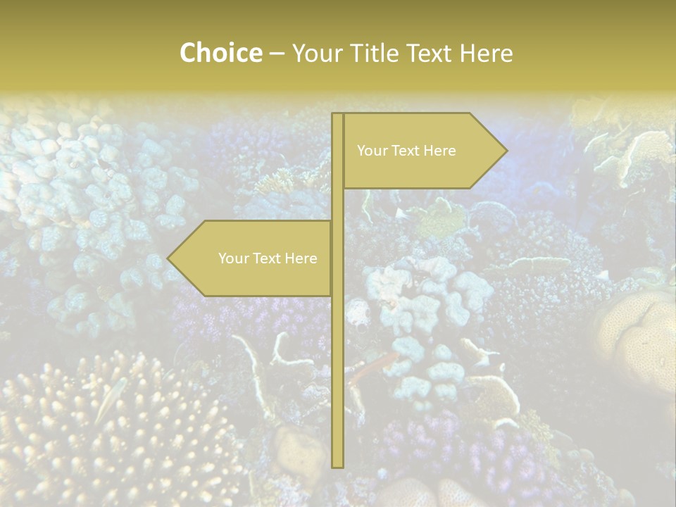 Live Ocean Under PowerPoint Template