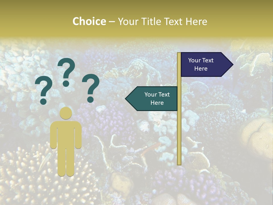 Live Ocean Under PowerPoint Template
