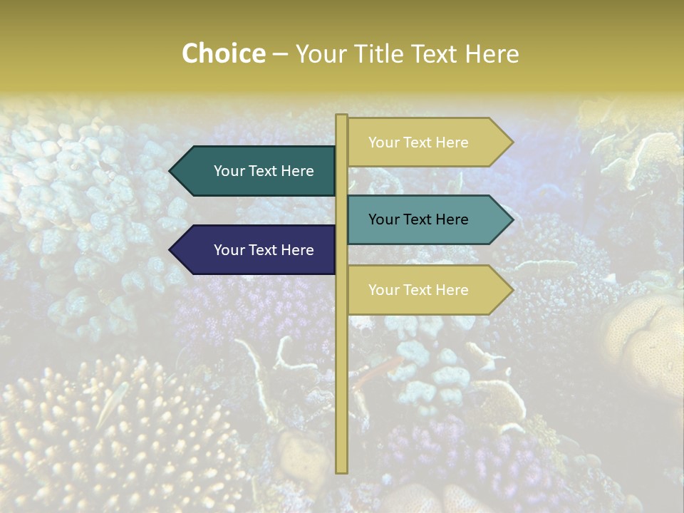 Live Ocean Under PowerPoint Template
