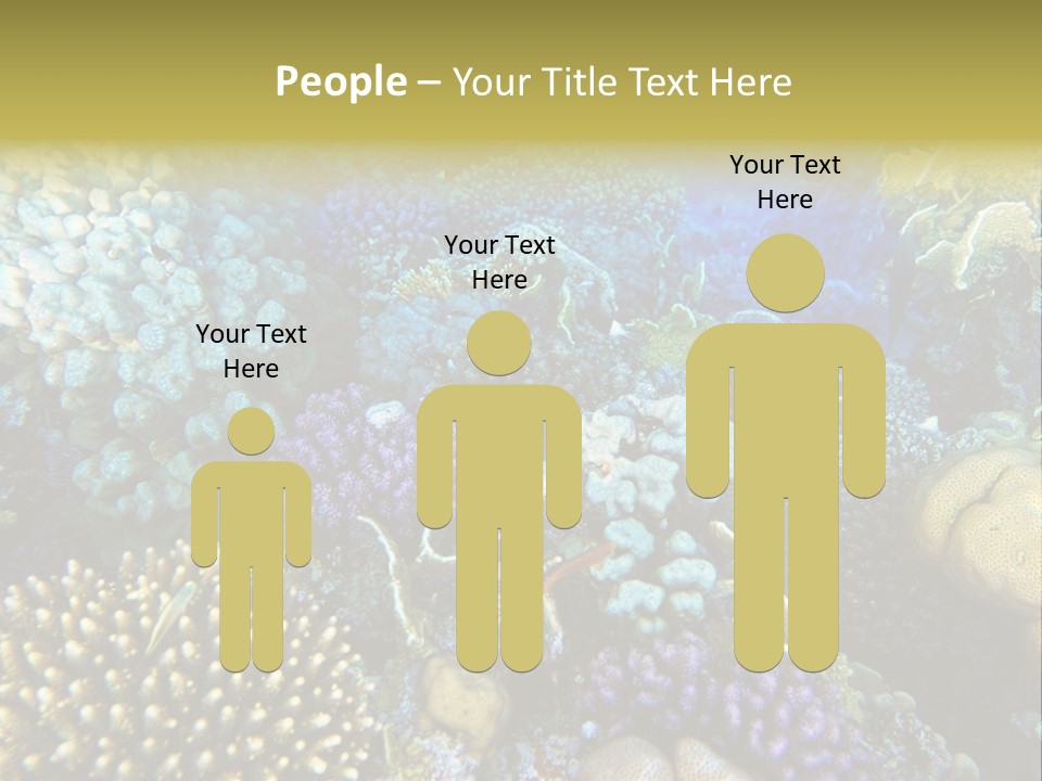 Live Ocean Under PowerPoint Template