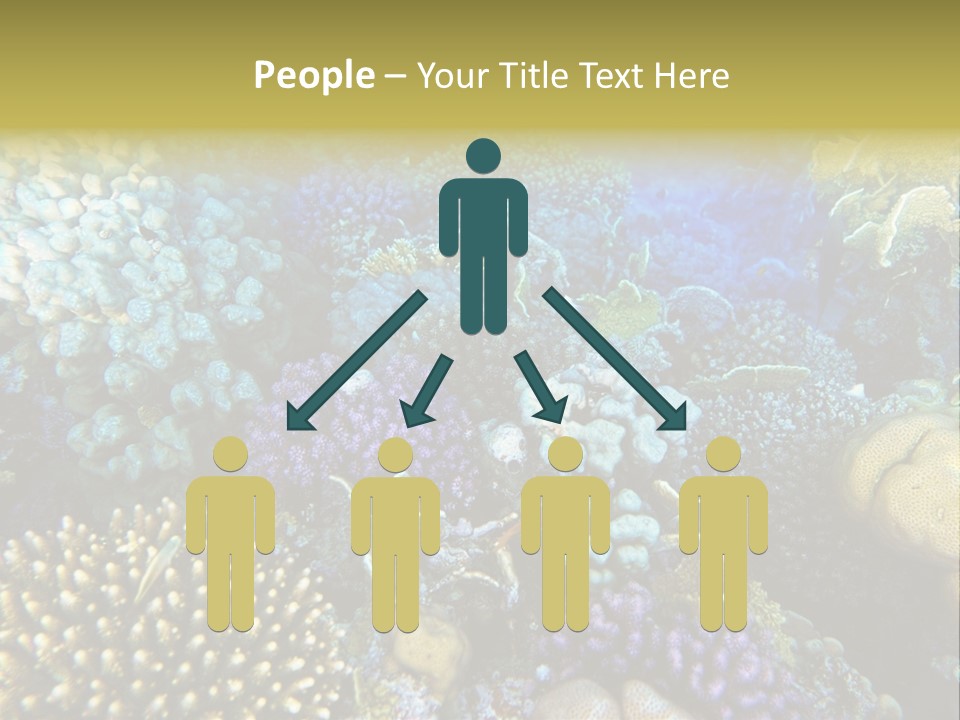 Live Ocean Under PowerPoint Template