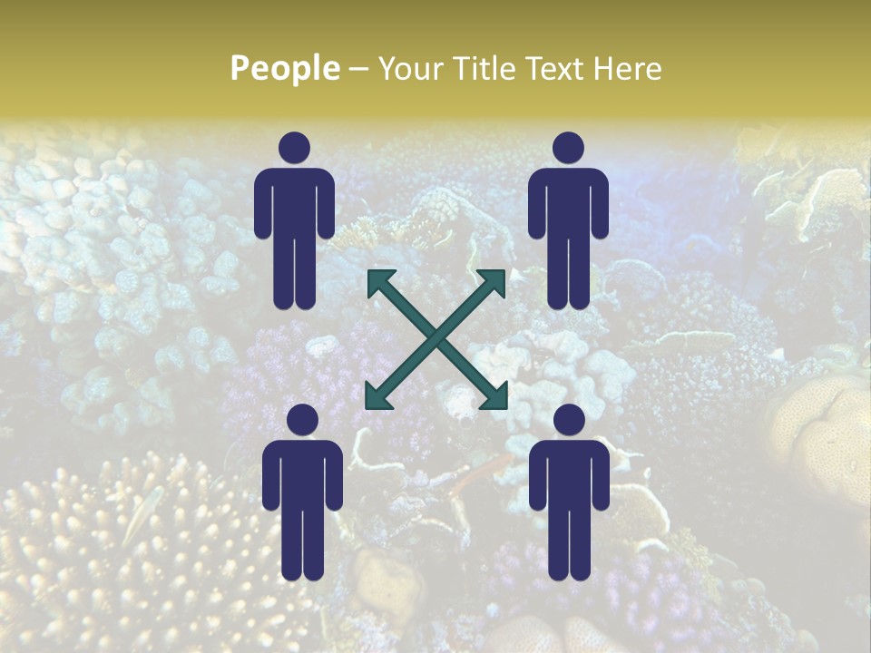 Live Ocean Under PowerPoint Template