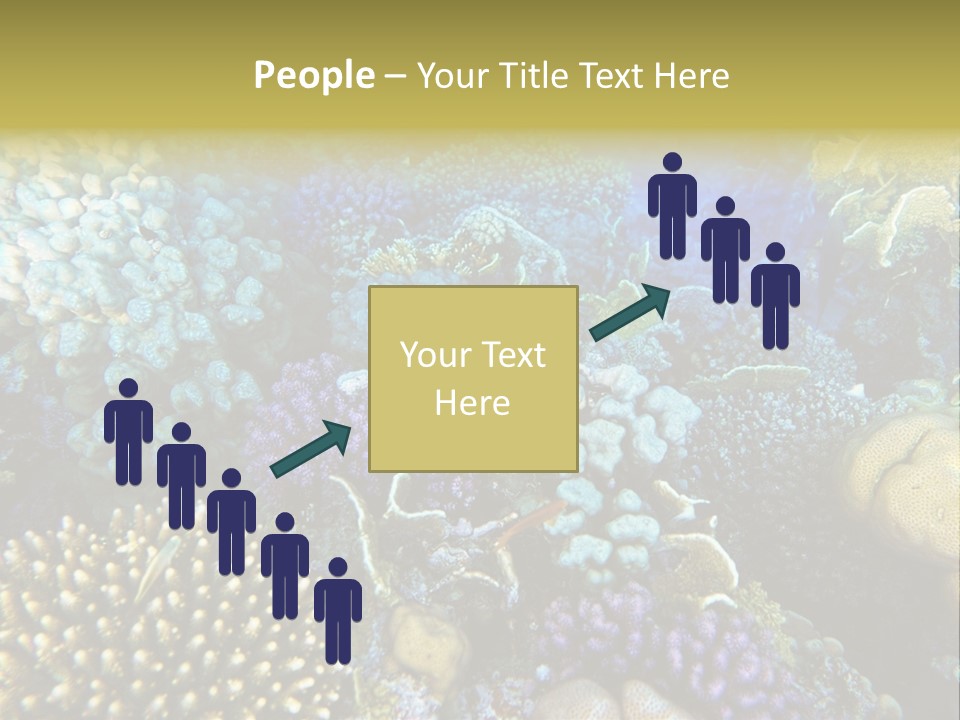 Live Ocean Under PowerPoint Template