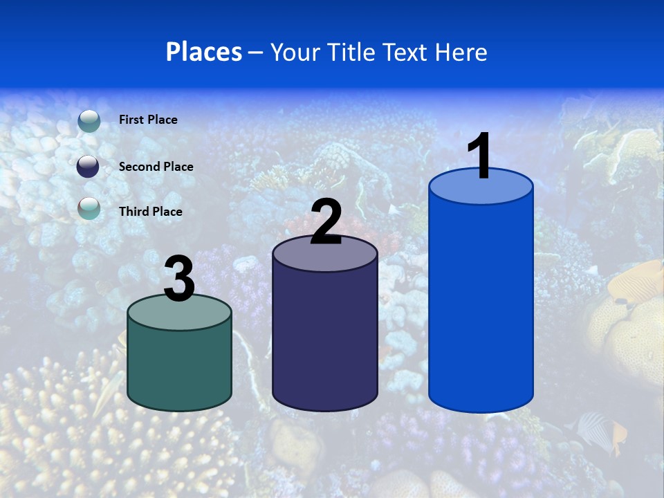 Reefscape Aqua Close Up PowerPoint Template