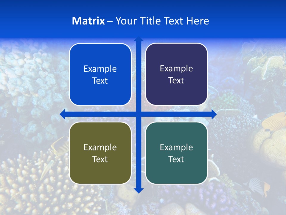 Reefscape Aqua Close Up PowerPoint Template