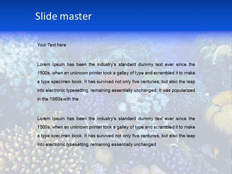 Reefscape Aqua Close Up PowerPoint Template