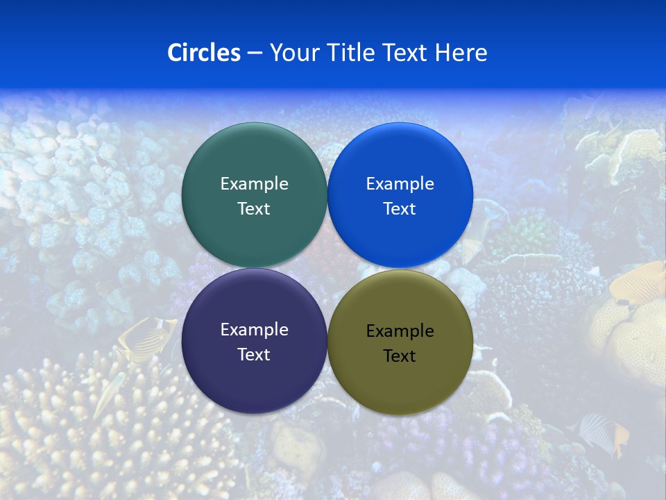 Reefscape Aqua Close Up PowerPoint Template