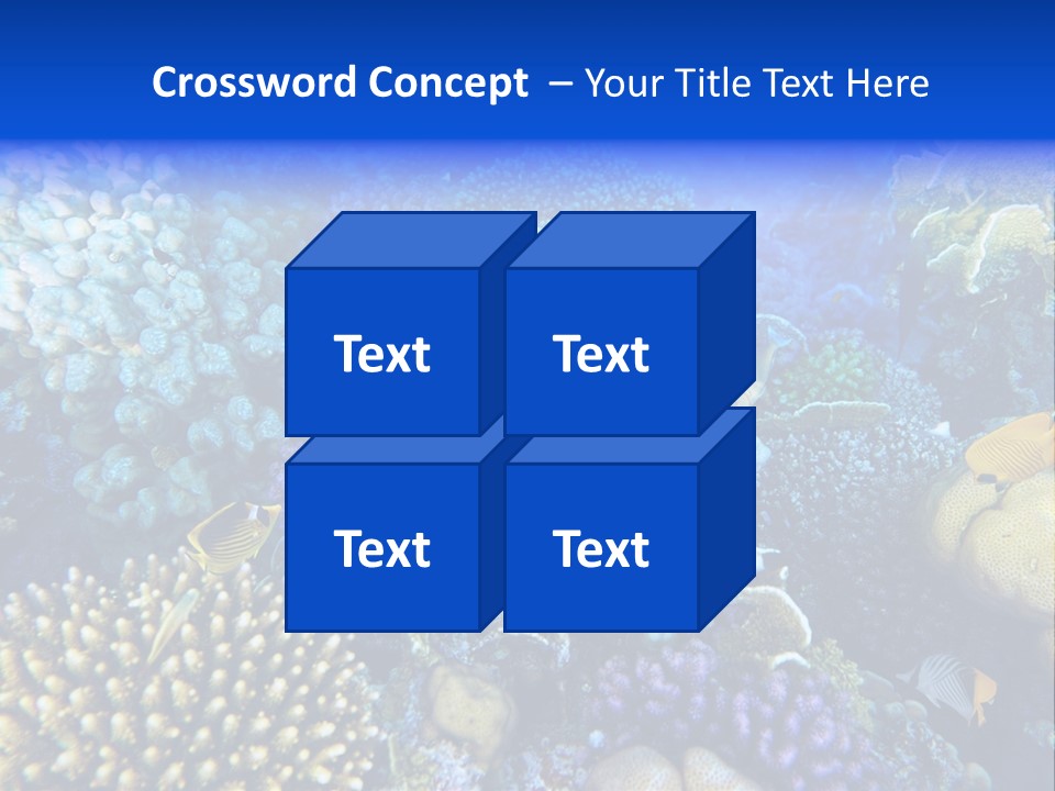 Reefscape Aqua Close Up PowerPoint Template