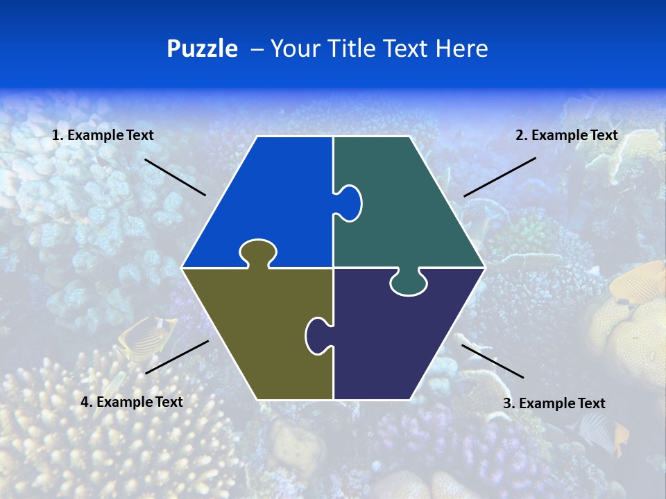 Reefscape Aqua Close Up PowerPoint Template