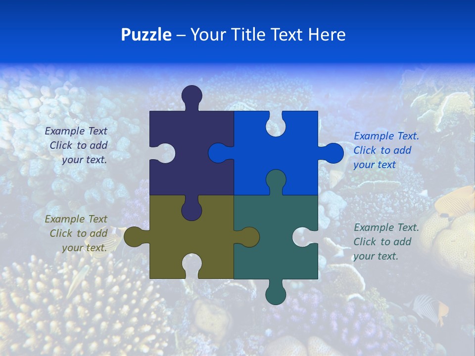 Reefscape Aqua Close Up PowerPoint Template