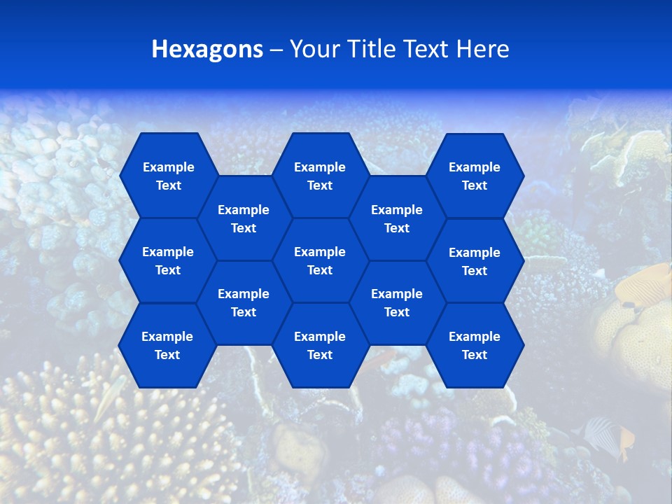 Reefscape Aqua Close Up PowerPoint Template