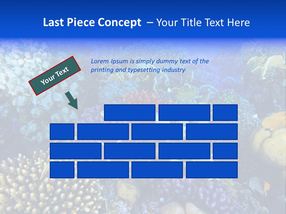 Reefscape Aqua Close Up PowerPoint Template