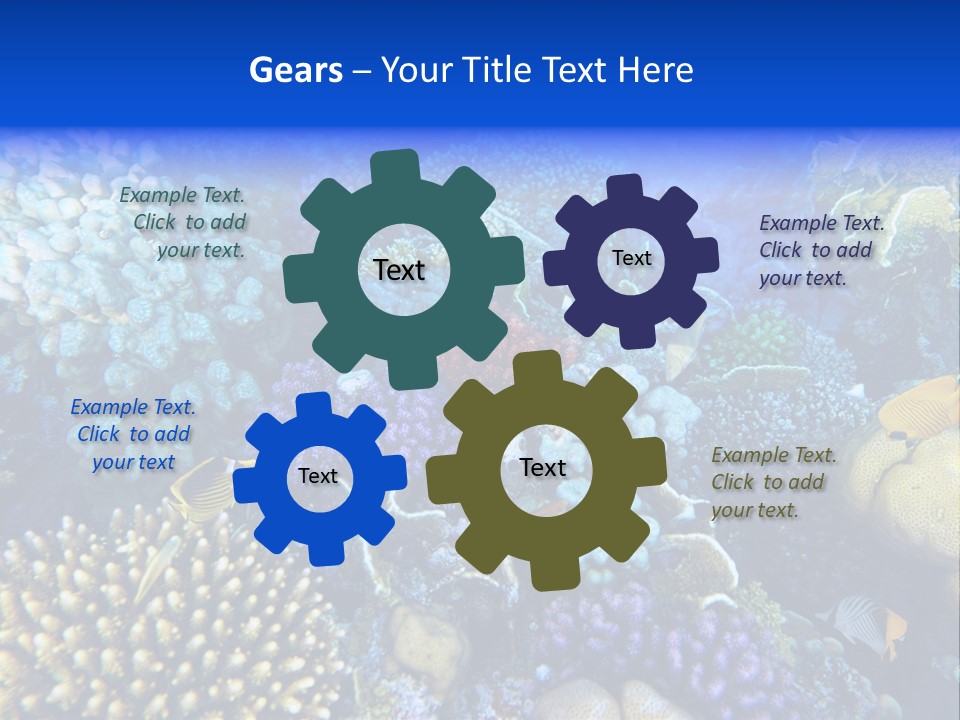 Reefscape Aqua Close Up PowerPoint Template