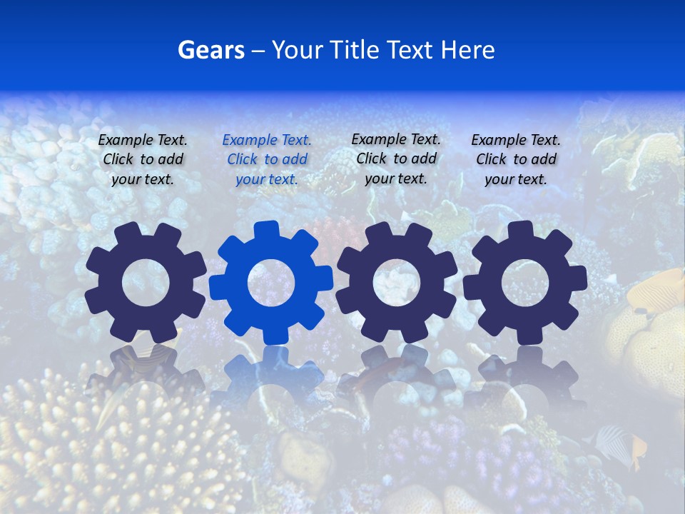 Reefscape Aqua Close Up PowerPoint Template