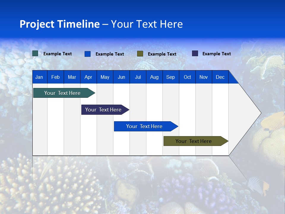 Reefscape Aqua Close Up PowerPoint Template